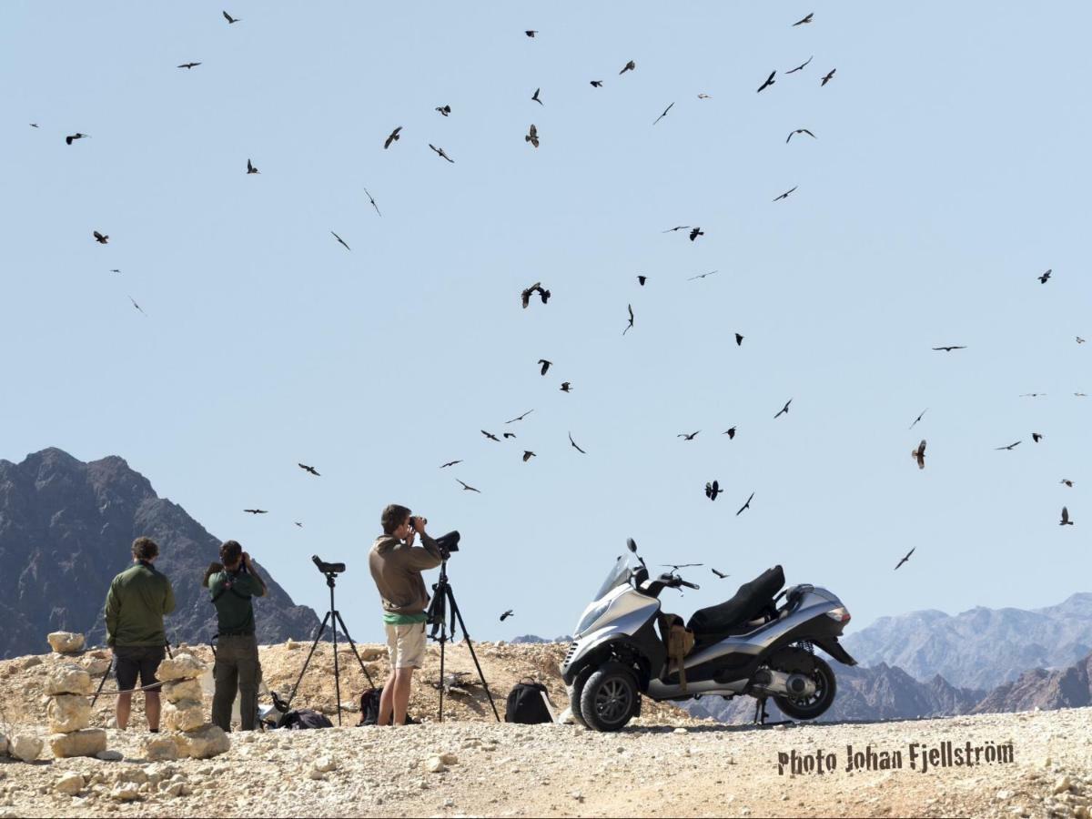 The Birdwatchers Nest Be'er Ora Exterior foto